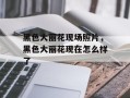 黑色大丽花现场照片，黑色大丽花现在怎么样了