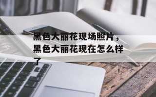 黑色大丽花现场照片，黑色大丽花现在怎么样了