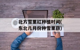 北方雪里红种植时间(东北几月份种雪里蕻)