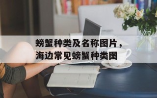 螃蟹种类及名称图片，海边常见螃蟹种类图