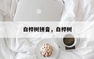白桦树拼音，白桦树