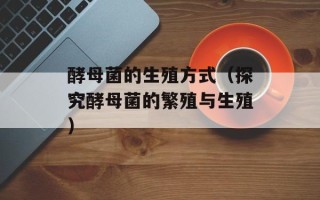 酵母菌的生殖方式（探究酵母菌的繁殖与生殖）