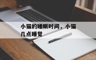 小猫的睡眠时间，小猫几点睡觉