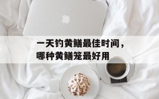 一天钓黄鳝最佳时间，哪种黄鳝笼最好用