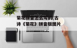 菊花拼音怎么写的(古诗《菊花》拼音版图片)