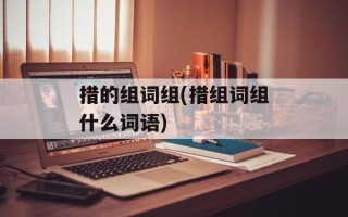 措的组词组(措组词组什么词语)