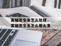 黄鳝寄生虫怎么处理，黄鳝寄生虫怎么那么多