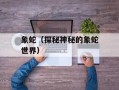 象蛇（探秘神秘的象蛇世界）