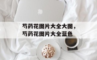 芍药花图片大全大图，芍药花图片大全蓝色