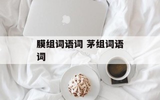 膜组词语词 茅组词语词
