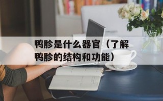 鸭胗是什么器官（了解鸭胗的结构和功能）