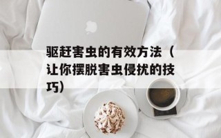 驱赶害虫的有效方法（让你摆脱害虫侵扰的技巧）