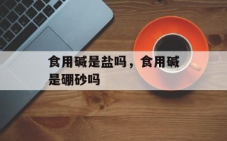 食用碱是盐吗，食用碱是硼砂吗