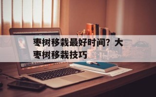 枣树移栽最好时间？大枣树移栽技巧