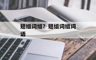 翅组词组？翅组词组词语