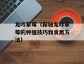 龙吟草莓（探秘龙吟草莓的种植技巧和食用方法）