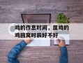 鸡的作息时间，属鸡的鸡回窝时辰好不好