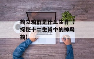 鹤立鸡群是什么生肖（探秘十二生肖中的神鸟鹤）
