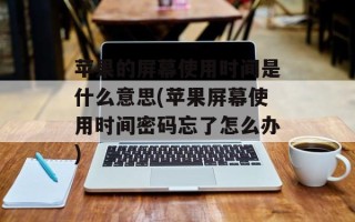 苹果的屏幕使用时间是什么意思(苹果屏幕使用时间密码忘了怎么办)