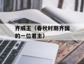 齐威王（春秋时期齐国的一位君主）