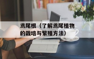 鸢尾根（了解鸢尾植物的栽培与繁殖方法）