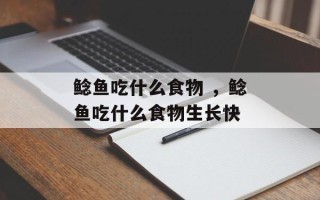 鲶鱼吃什么食物 ，鲶鱼吃什么食物生长快