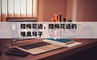 腊梅花语，腊梅花语的唯美句子