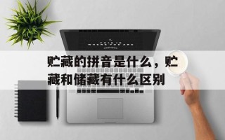 贮藏的拼音是什么，贮藏和储藏有什么区别