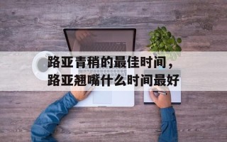 路亚青稍的最佳时间，路亚翘嘴什么时间最好