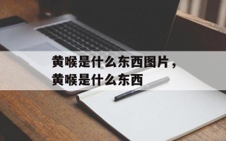 黄喉是什么东西图片，黄喉是什么东西