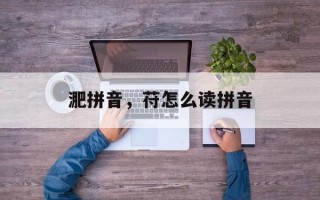 淝拼音，苻怎么读拼音