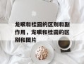 龙眼和桂圆的区别和副作用，龙眼和桂圆的区别和图片