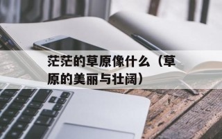 茫茫的草原像什么（草原的美丽与壮阔）