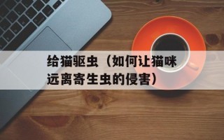 给猫驱虫（如何让猫咪远离寄生虫的侵害）