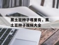 黑土豆种子哪里有，黑土豆种子视频大全