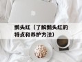 鹅头红（了解鹅头红的特点和养护方法）