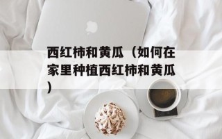 西红柿和黄瓜（如何在家里种植西红柿和黄瓜）