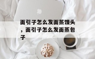 面引子怎么发面蒸馒头，面引子怎么发面蒸包子