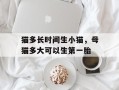 猫多长时间生小猫，母猫多大可以生第一胎
