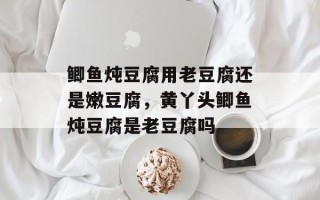 鲫鱼炖豆腐用老豆腐还是嫩豆腐，黄丫头鲫鱼炖豆腐是老豆腐吗
