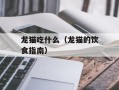 龙猫吃什么（龙猫的饮食指南）