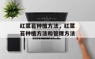红菜苔种植方法，红菜苔种植方法和管理方法