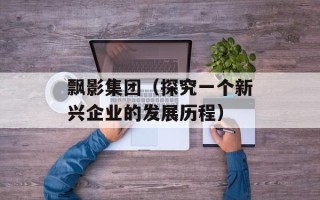 飘影集团（探究一个新兴企业的发展历程）