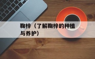 鞠梓（了解鞠梓的种植与养护）