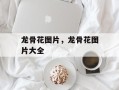 龙骨花图片，龙骨花图片大全