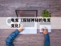 龟龙（探秘神秘的龟龙文化）