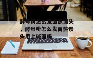 酵母粉怎么发面蒸馒头，酵母粉怎么发面蒸馒头用上碱面吗