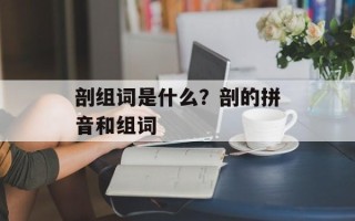 剖组词是什么？剖的拼音和组词