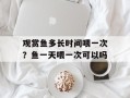 观赏鱼多长时间喂一次？鱼一天喂一次可以吗