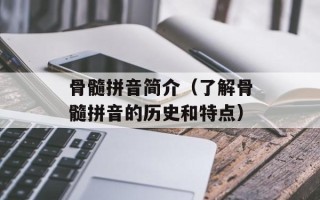 骨髓拼音简介（了解骨髓拼音的历史和特点）